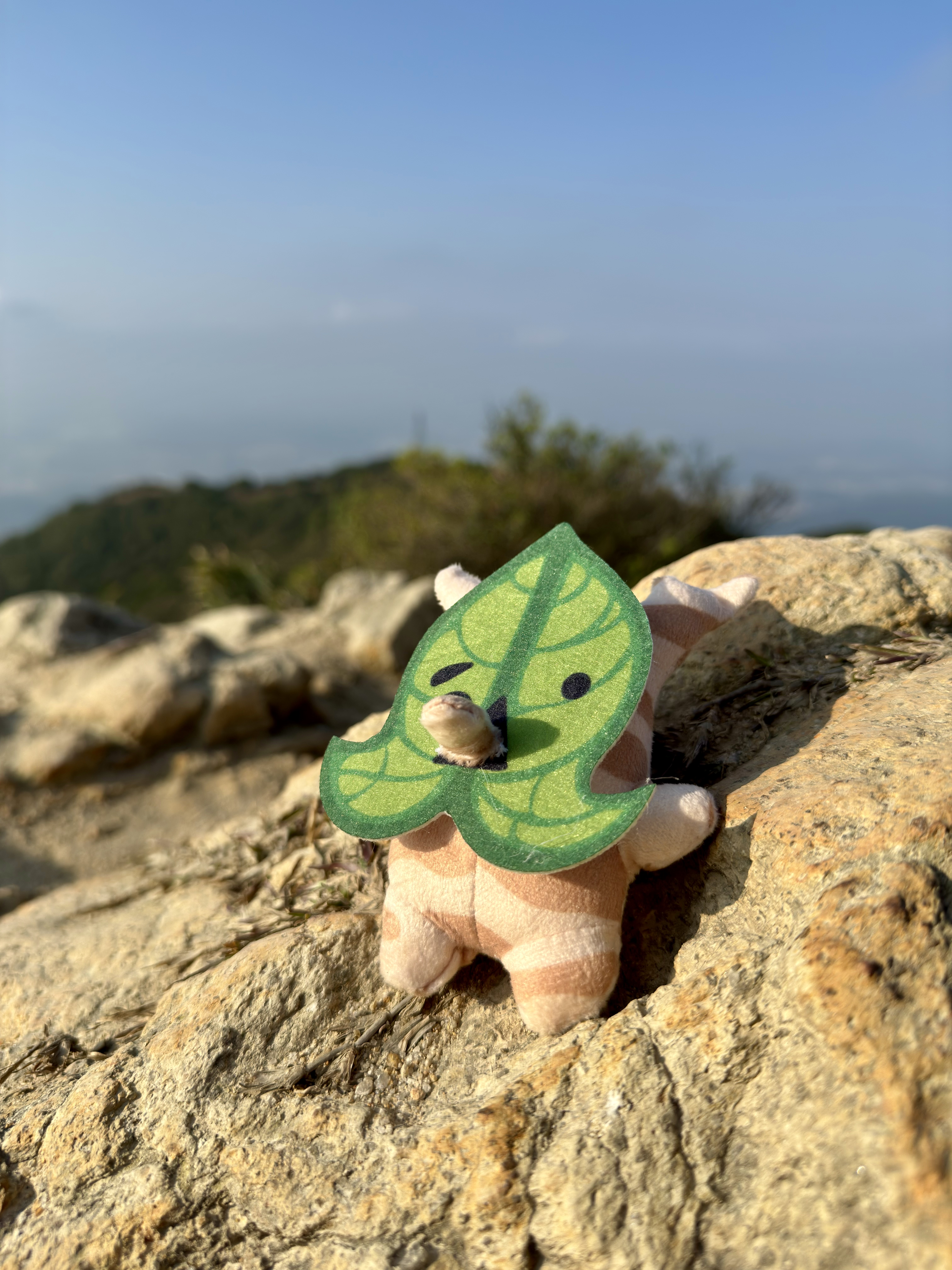 接下来要多晒晒太阳