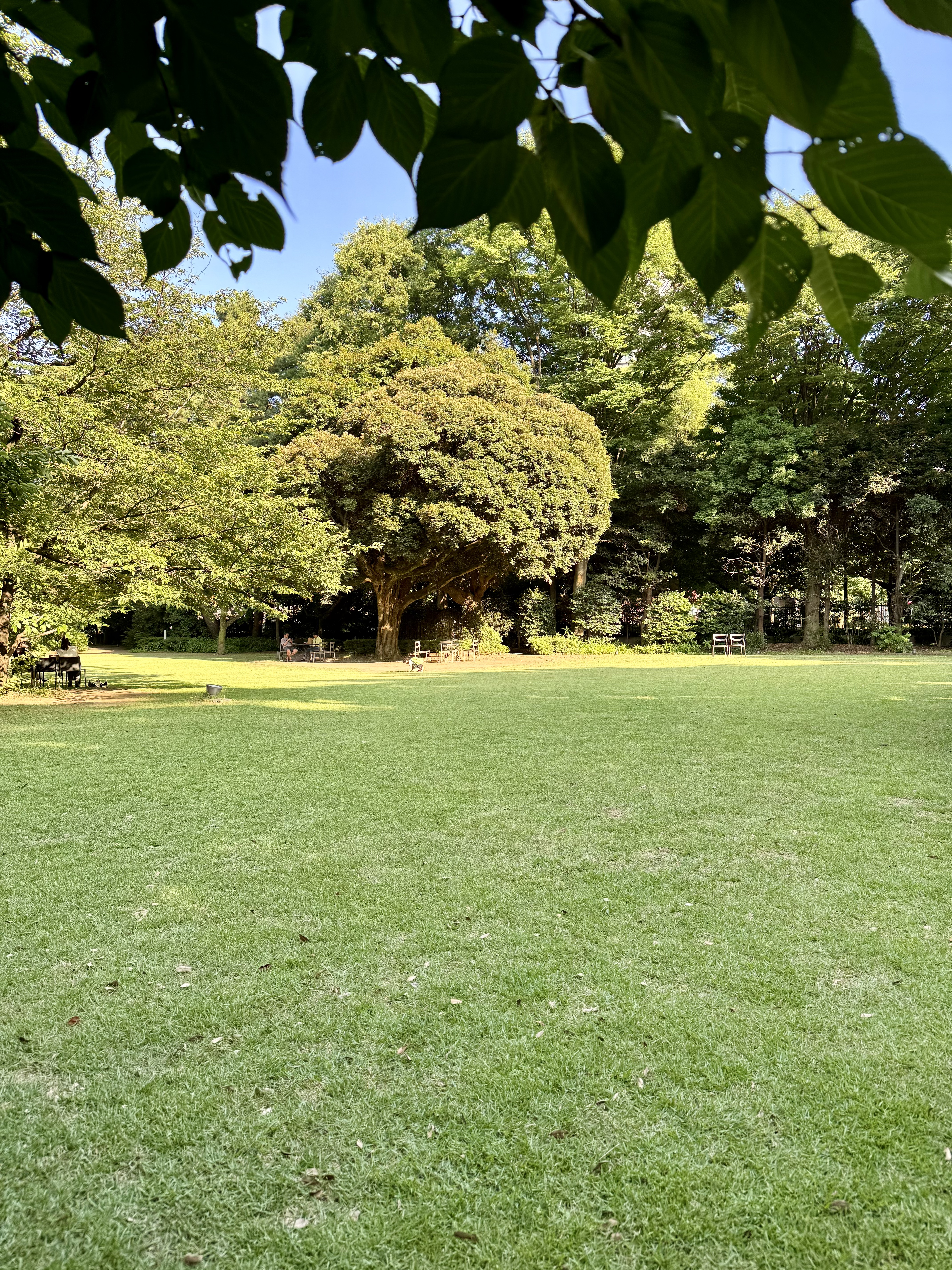 东京都庭园美术馆