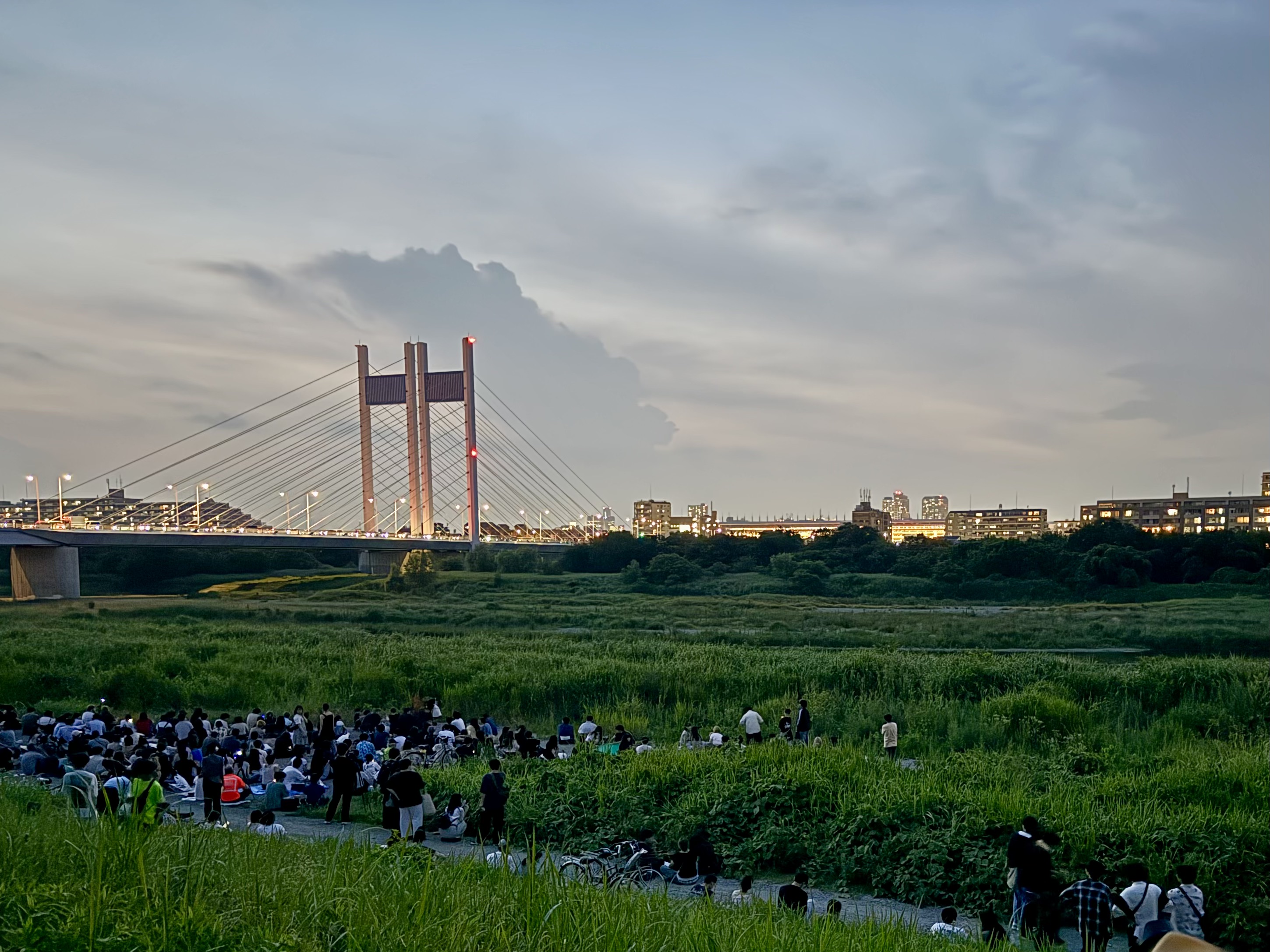 东京竞马场花火大会