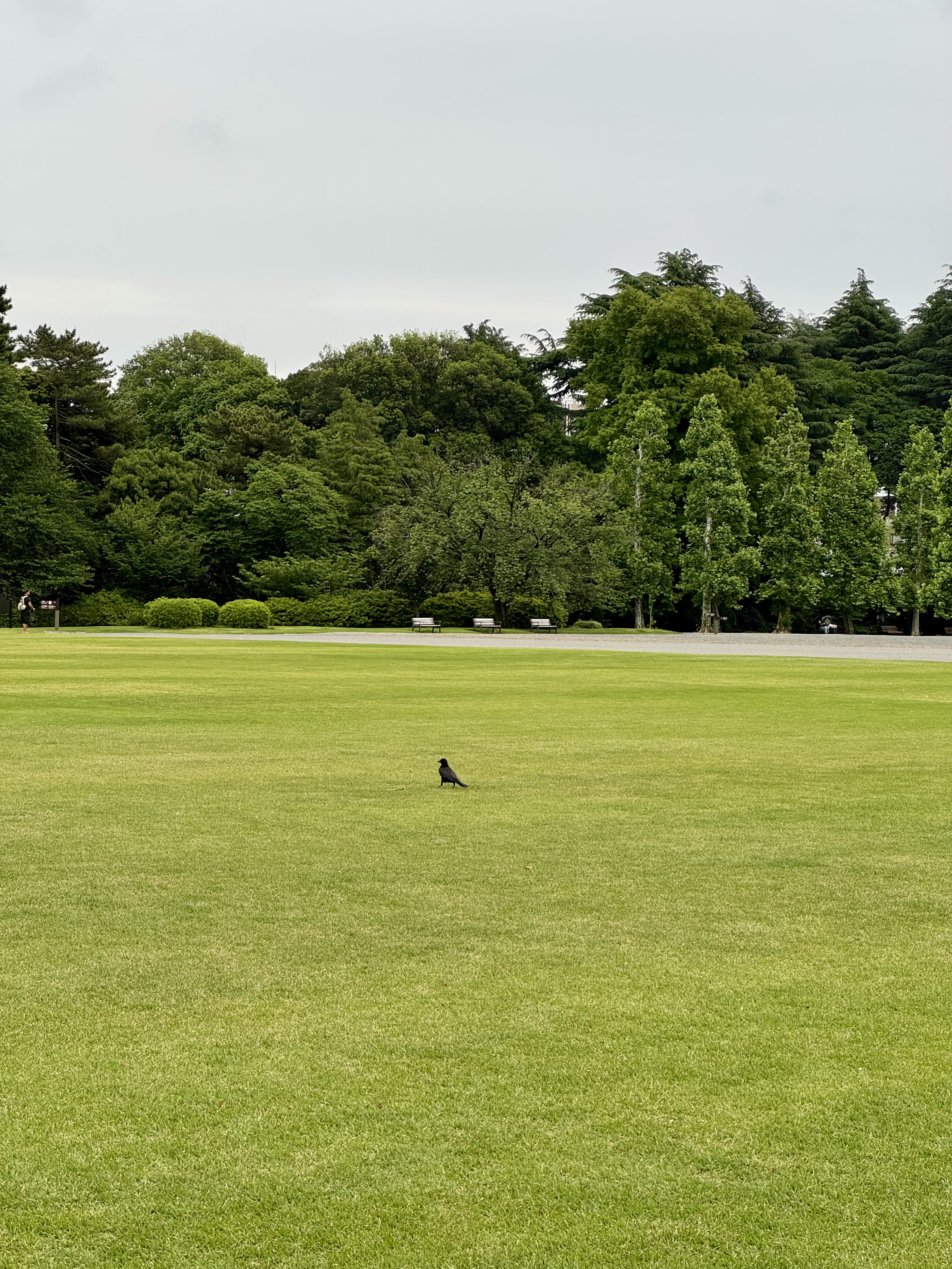 Image 09