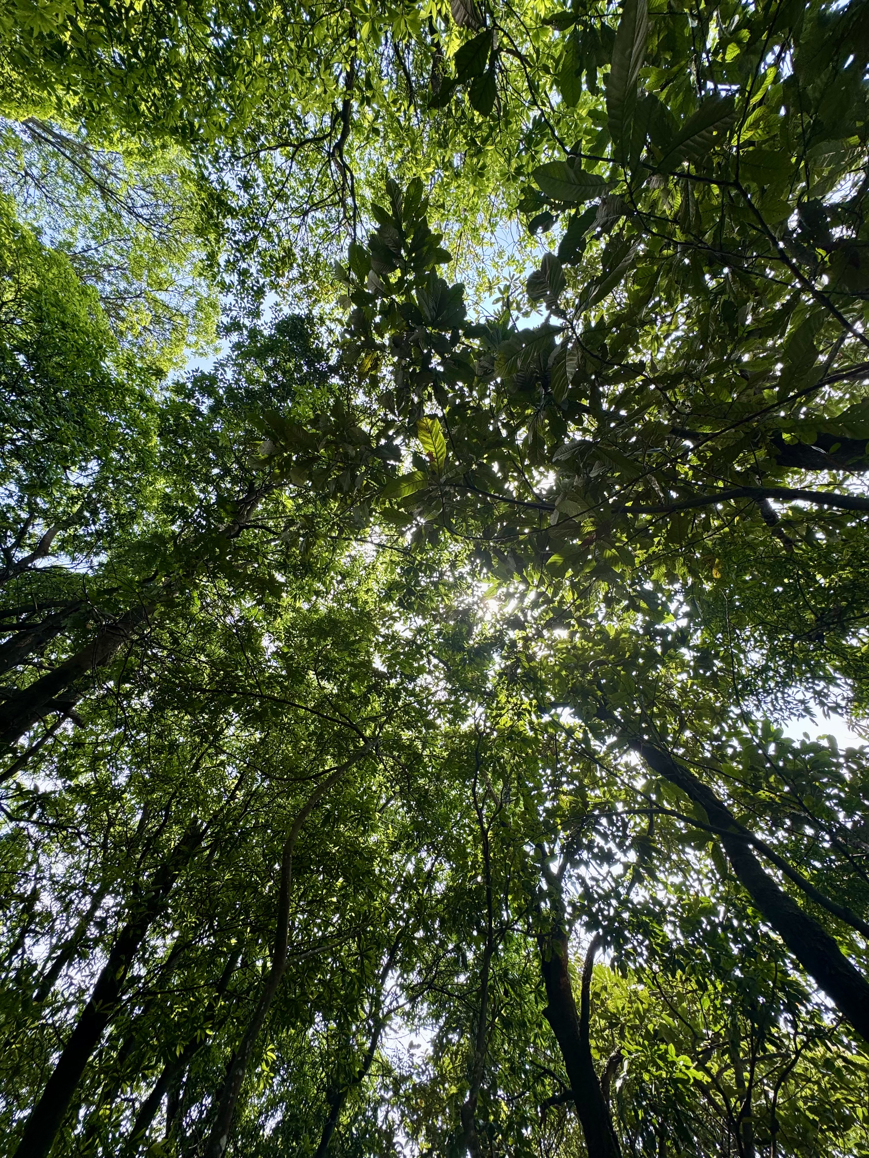 大热天爬山