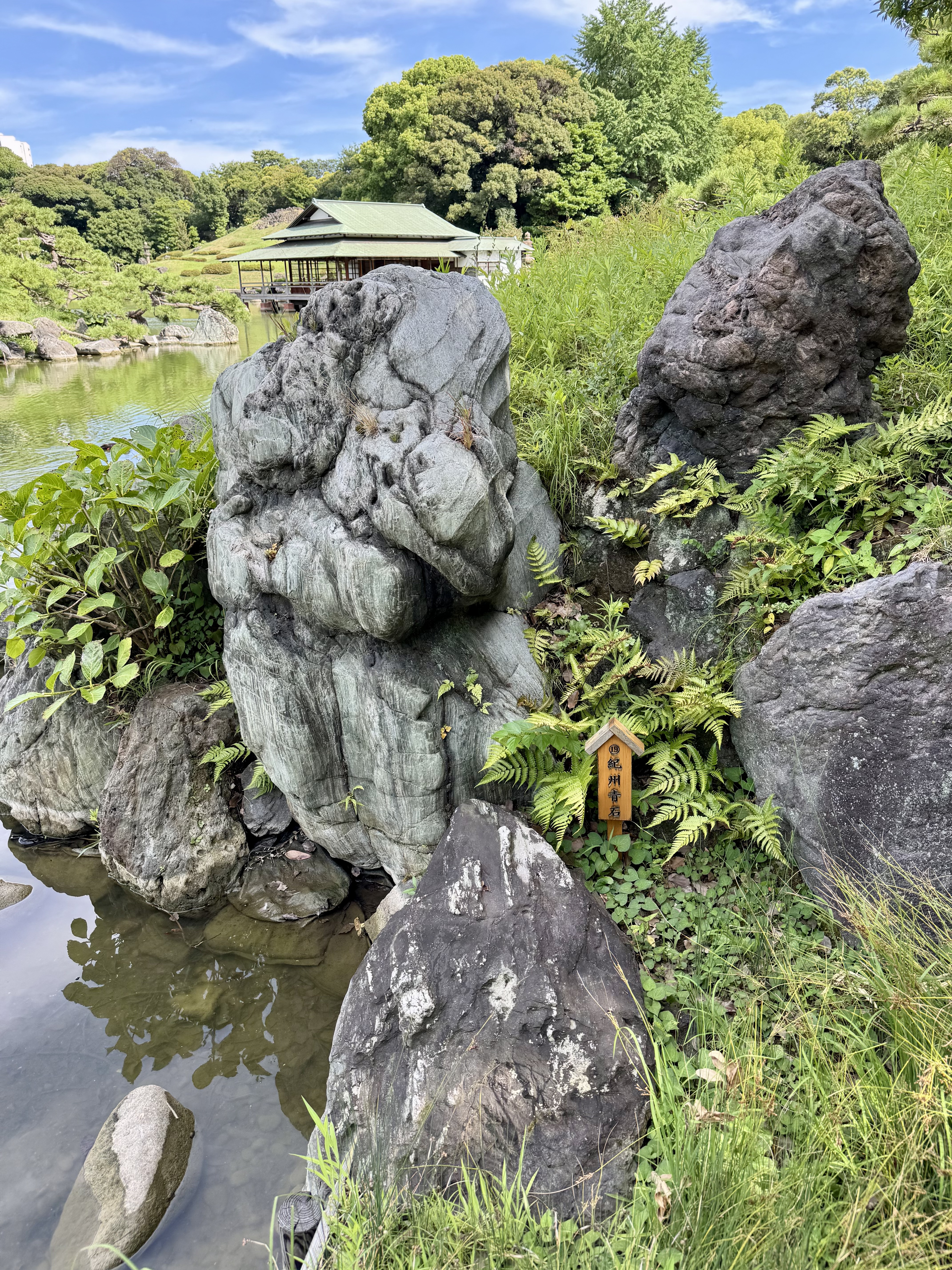 Image 02
