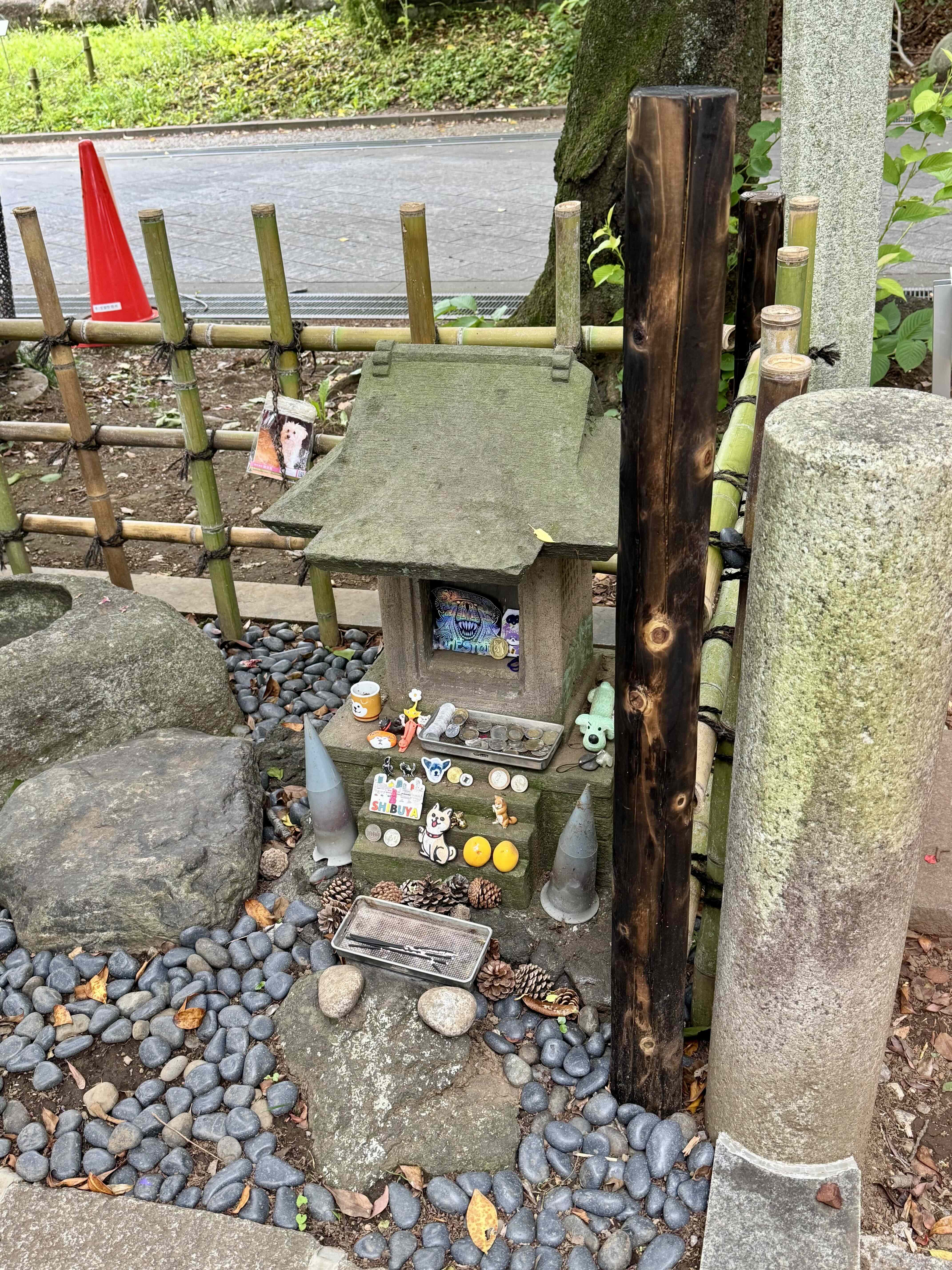 Image 04