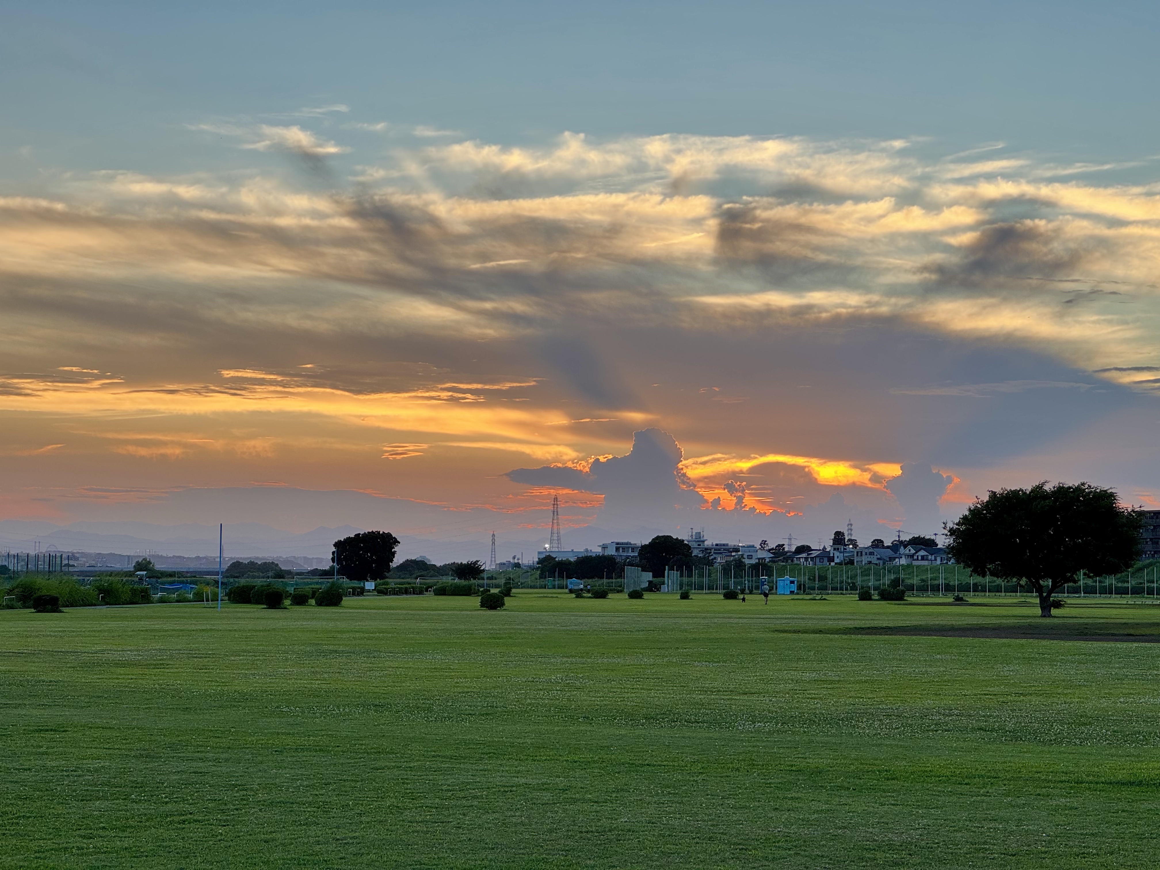Image 05