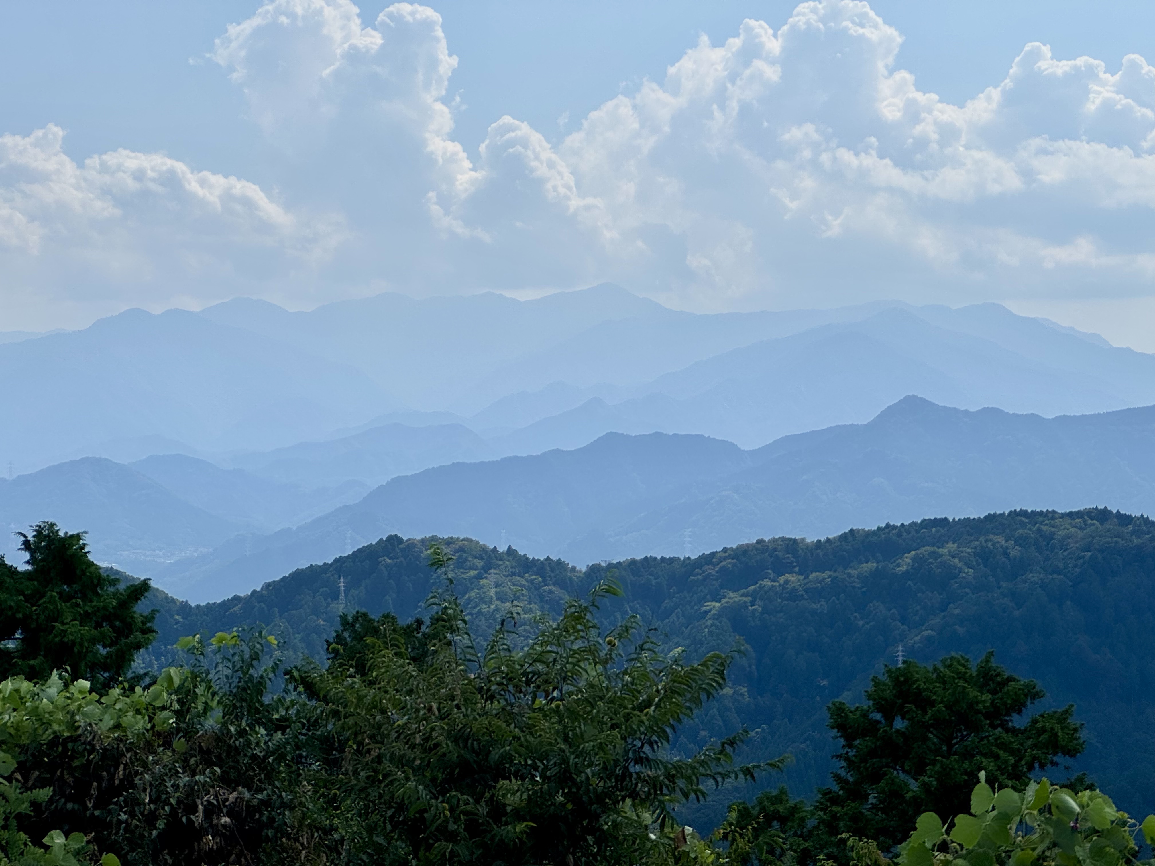 高尾山