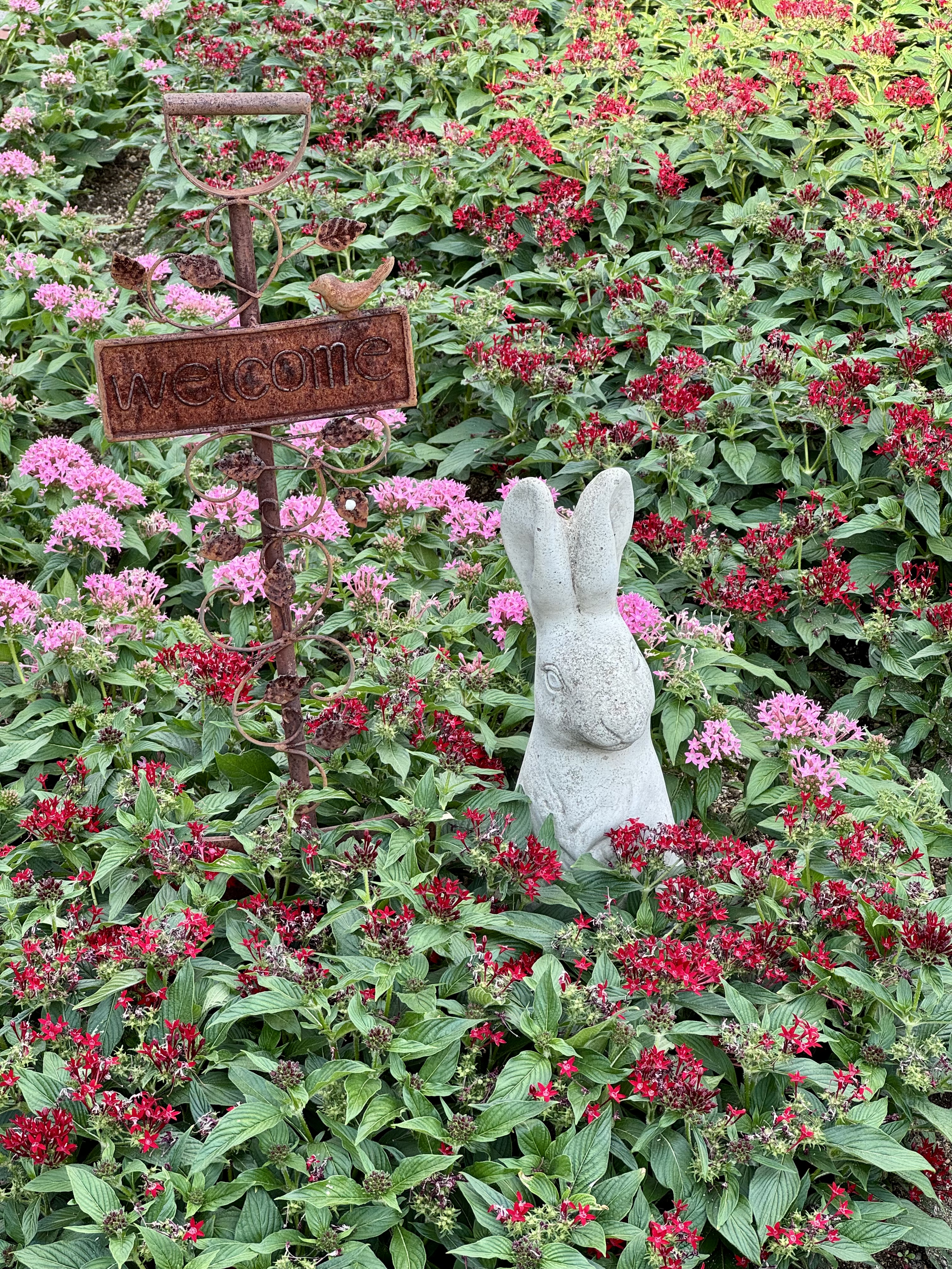 Image 04