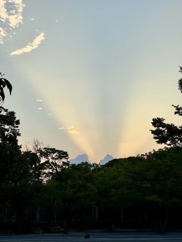 Image 05
